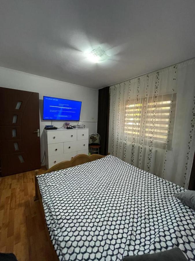 Apartament Gallamar Apartment Birlad Exterior photo